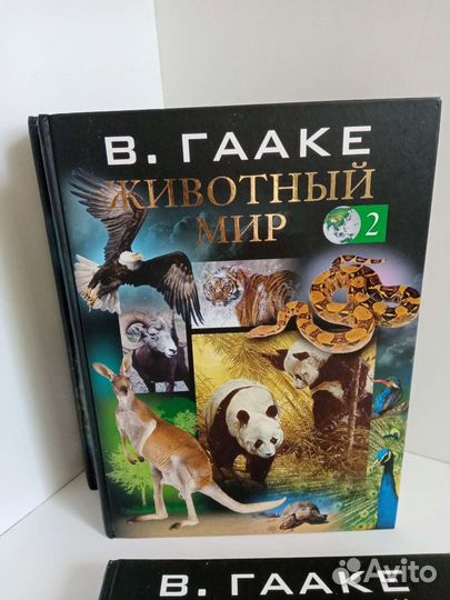 Энциклопедия 