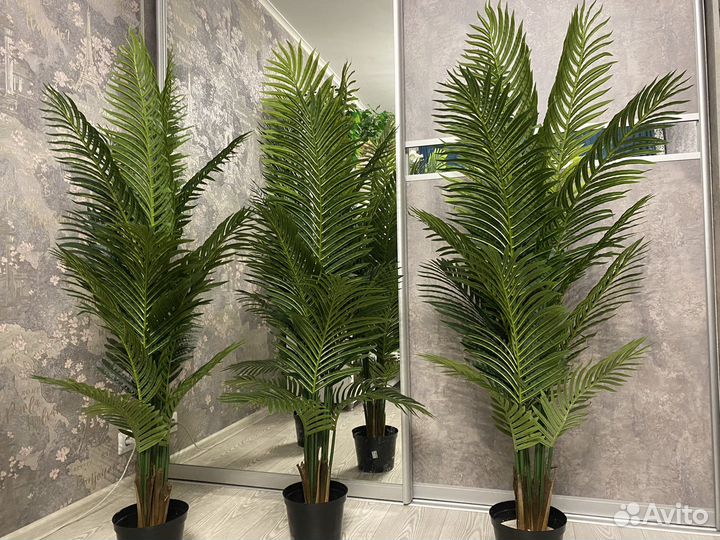 Искусственные деревья. Искусственные пальмы
