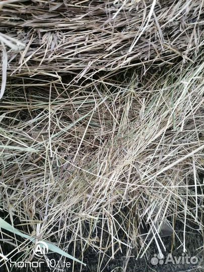 Сено в рулонах с доставкой