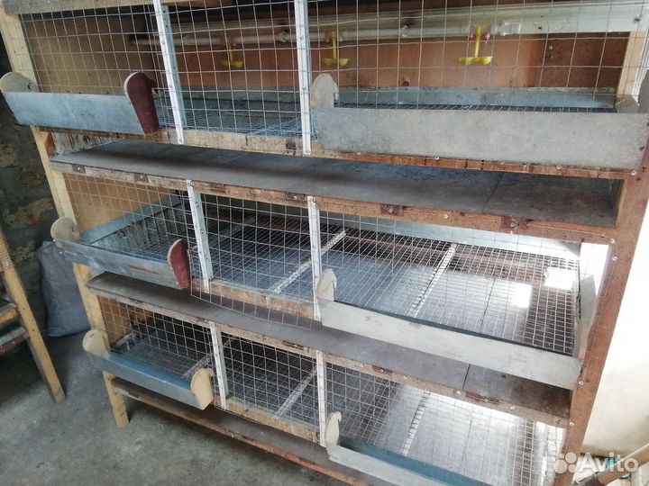 Клетки для кур бройлеров