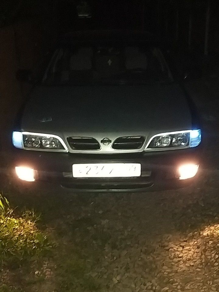 Nissan Primera: фото владельца