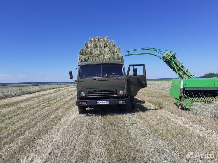 Продам сено люцерна и солома в тюках