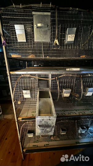 Клетка для шиншил
