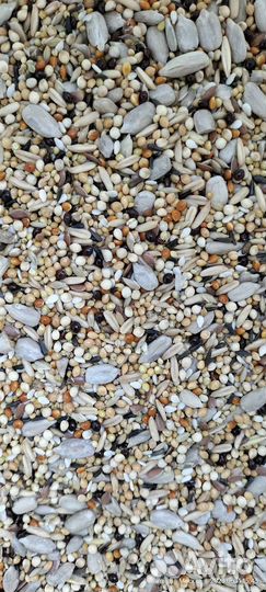 Корм для попугая