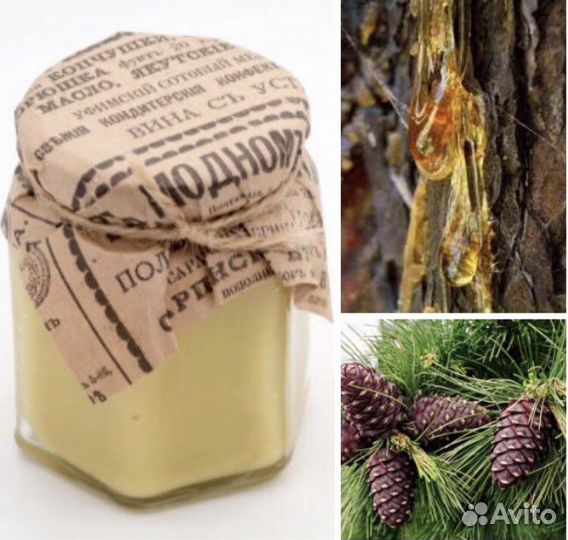 Живица Кедровая на Меду