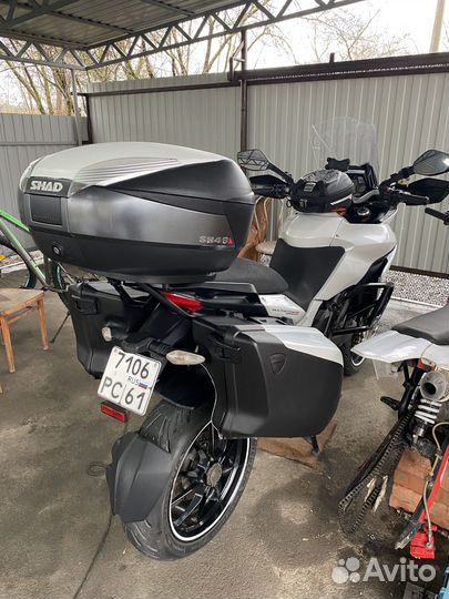 Продаю красавца