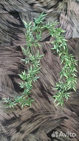 Для аквариума