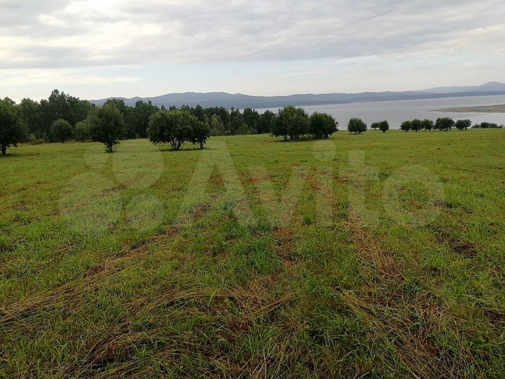 Участок 25,6 сот. (СНТ, ДНП)