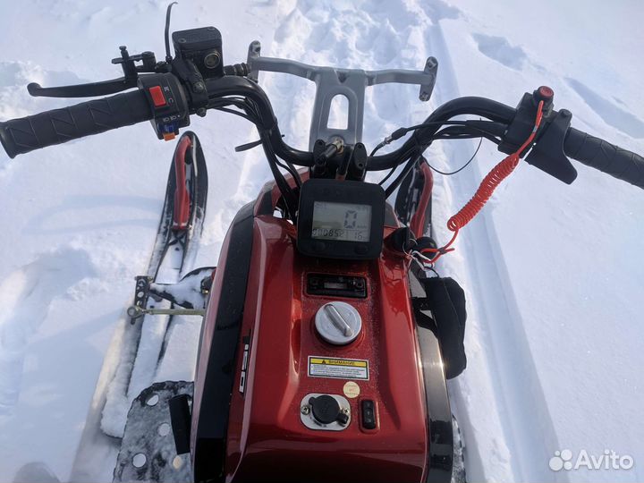 Снегоход Irbis Dingo T150