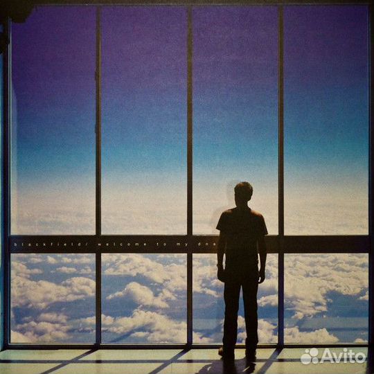 Blackfield: Welcome to My DNA (1 LP)