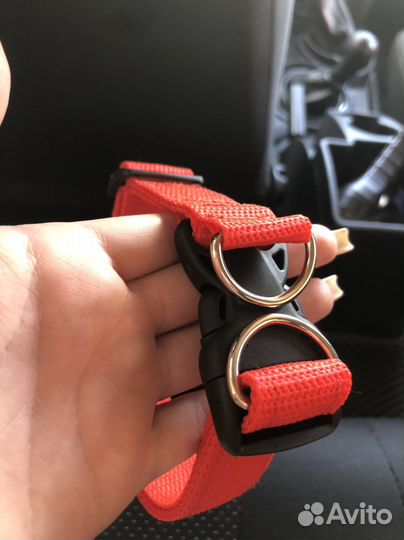 Ошейники и шлейки для собачек