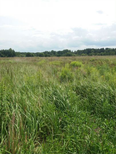 Участок 20 сот. (ИЖС)