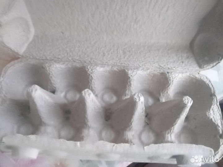 Коробка для хранения и транспортировки яиц