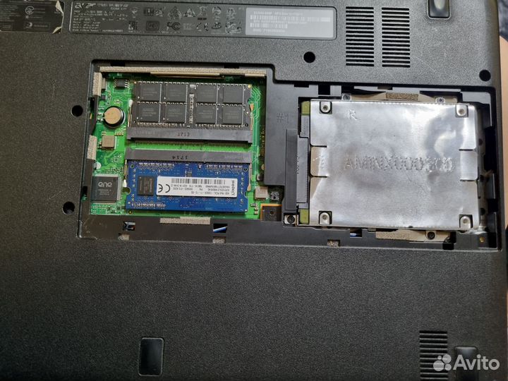 Acer extensa 2540
