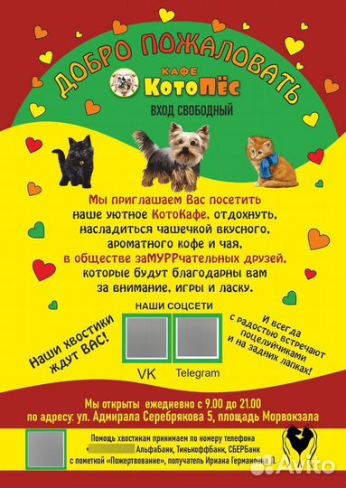 Кошечки, собачки в добрые руки