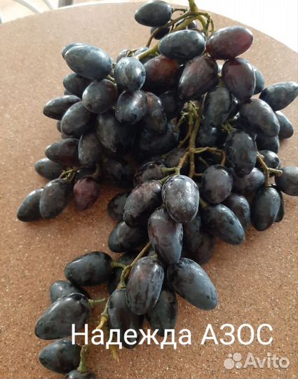 Саженцы винограда