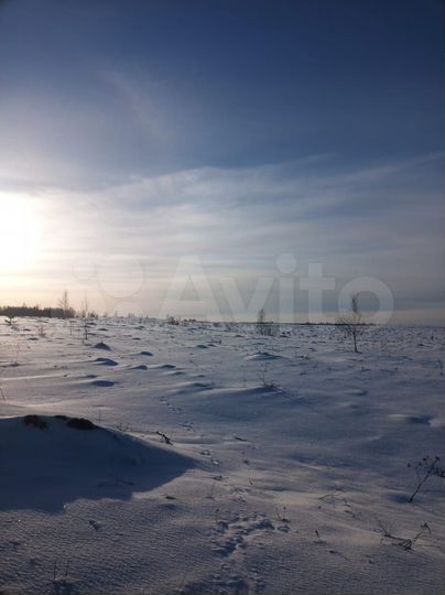 Участок 23 га (СНТ, ДНП)