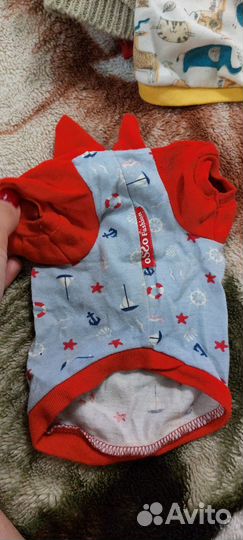 Одежда для маленьких собак