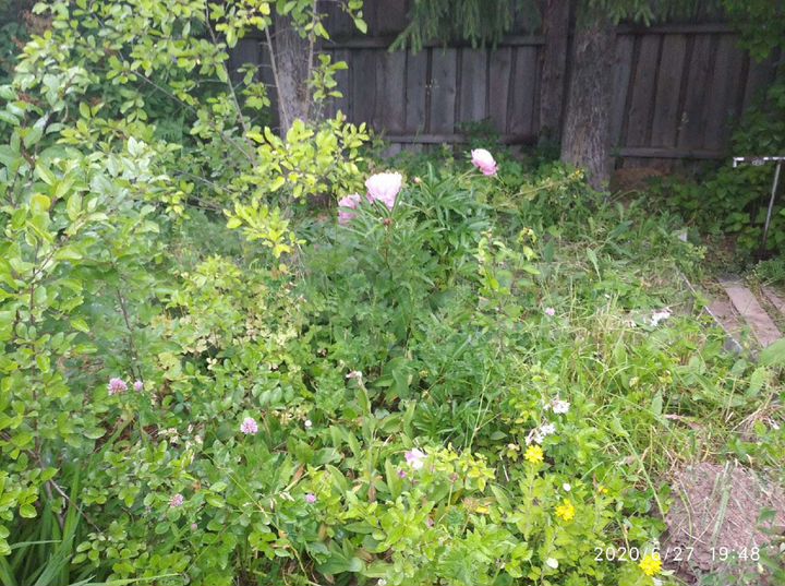 Дача 33 м² на участке 10 сот.