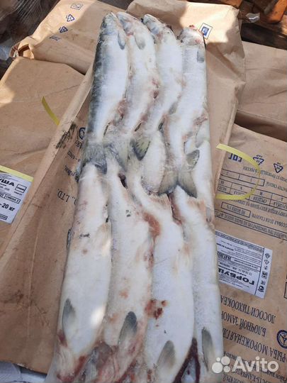 Свежемороженая горбуша с икрой/скумбрия/мойва