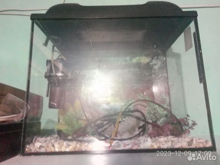 Аквариум