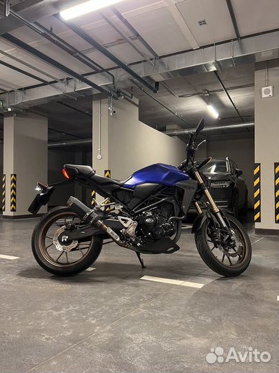 Honda CB300R NEO (CBF300N)