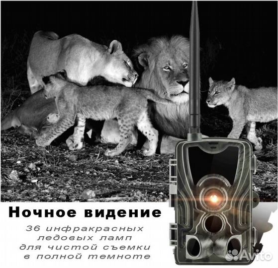 Фотоловушка, 2G SIM, MMS