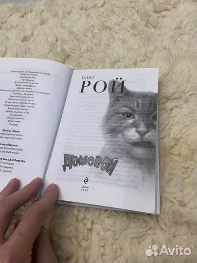 Книга Олега роя домовой