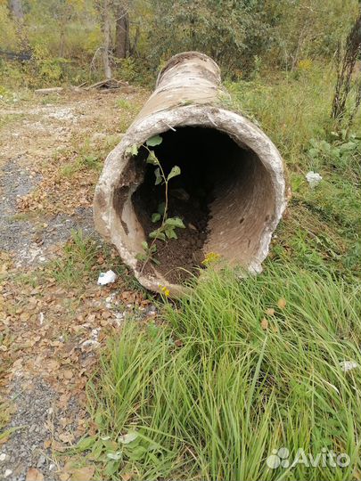 Труба железобетонная