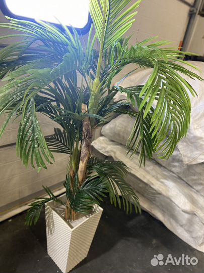 Искусственная пальма