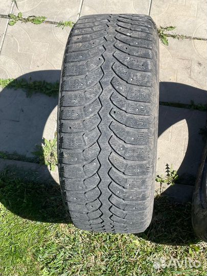 Bridgestone Blizzak DM-V2 205/55 R16 25
