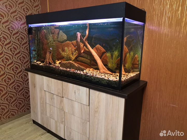Аквариум 500