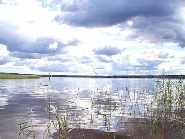 Участок 4 га (СНТ, ДНП)