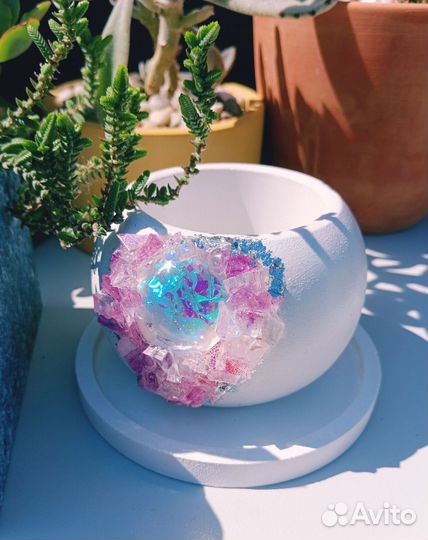 Горшки для кактусов и суккулентов