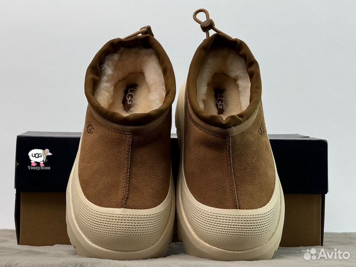 Кроссовки зимние женские Ugg Tasman Hybrid