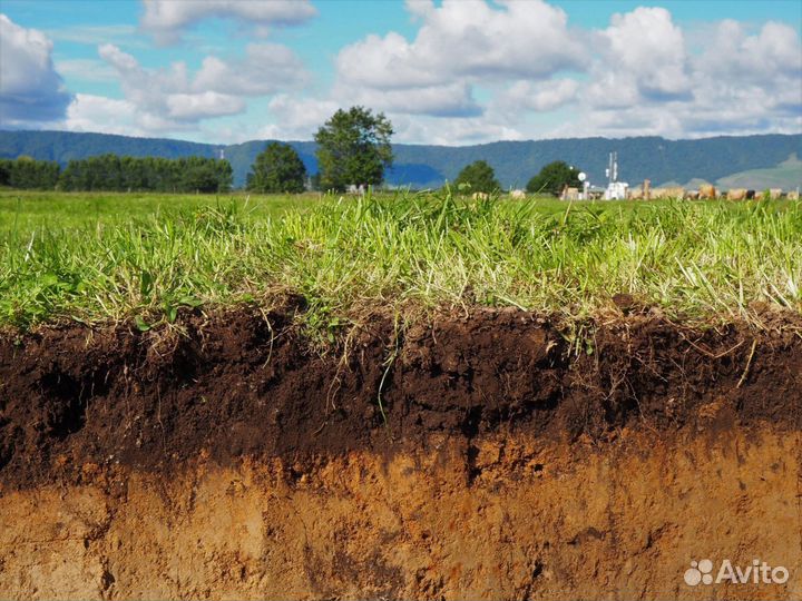 Чернозем. Хлюпино
