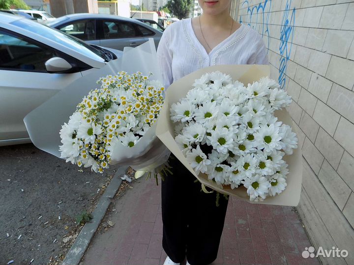 Ромашки. Букеты. Полевые Цветы