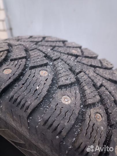 Nokian Tyres Hakkapeliitta 5 195/55 R15