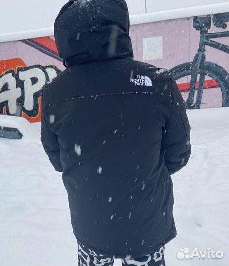 Мужская зимняя парка tnf