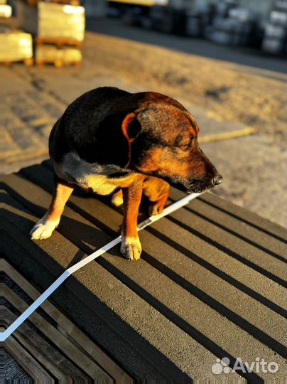 Краснодарская тротуарная плитка заказ от 120 м2