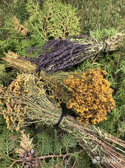 Травы для бани. Веники для бани