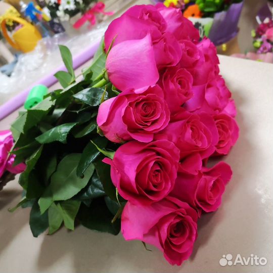 Роза розовая Пинк Флойд 70 см