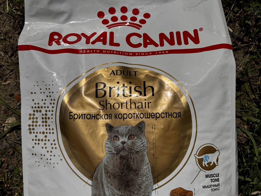 Royal canin british 10 кг