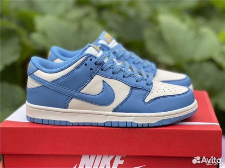 Nike Sb Dunk Low Blue Coast (синие данки)