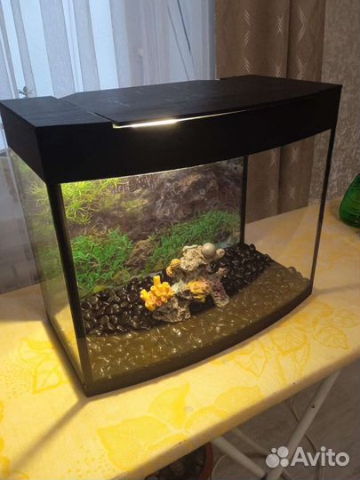 Аквариум