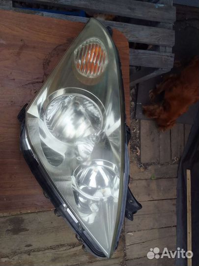 Фара не ксенон правая на Тойота виш