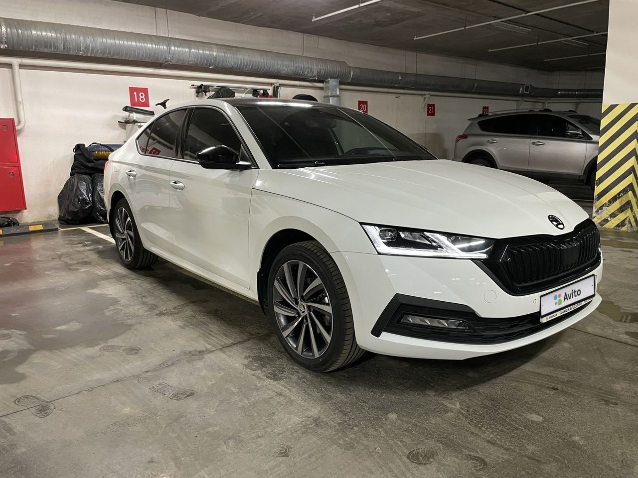 Skoda Octavia: фото владельца