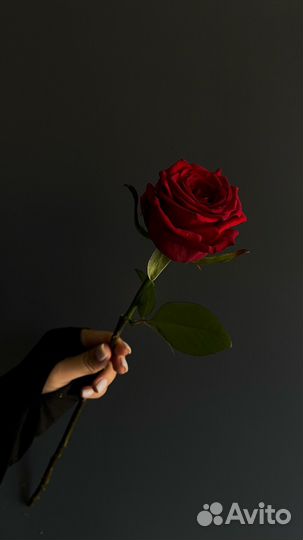 Цветы с доставкой