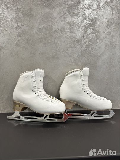 Коньки Edea chorus 245 на Legacy 9 1/4