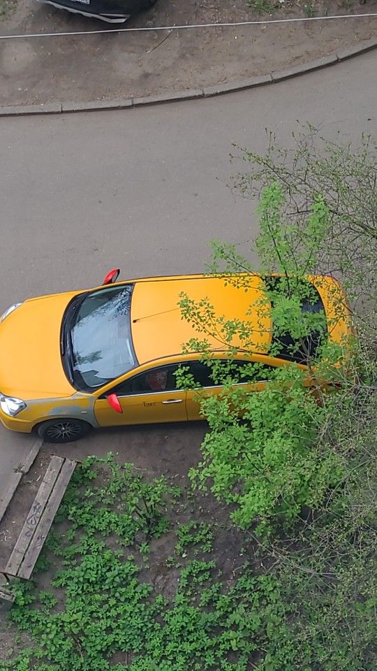 Nissan Almera: фото владельца